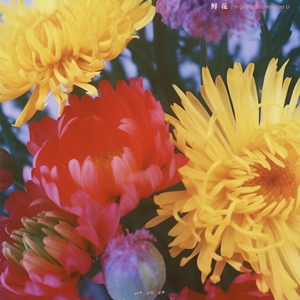 欧美性色黄大片A级毛片图片
